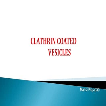 Clathrin coated vesicle