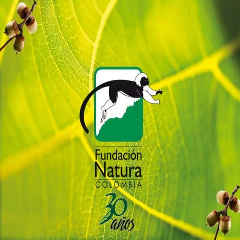Caso ARA - Fundación Natura