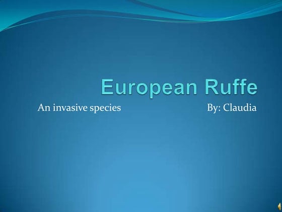 Don't ditch a fish | PDF