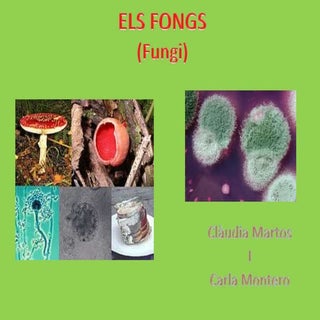 Claudia i carla fongs