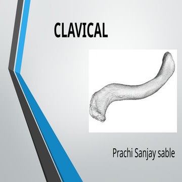 CLAVICAL BONE  ANATOMY .pptx BY PRACHI SABLE