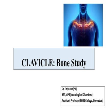 CLAVICLE Bone Osteology: Appendicular skeleton