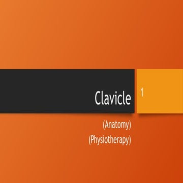 Anatomy of the Clavicle: Structure, Articulations & Muscle Attachments