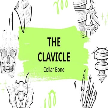 Clavicle bone Anatomy | PPTX