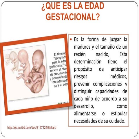 Test de Capurro , escala para mejorar la valoración | PDF