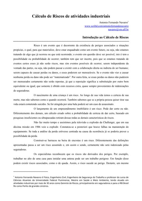 A função e a origem do gerenciamento de riscos | PDF