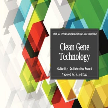Clean Gene Technology (Marker Free Approach)