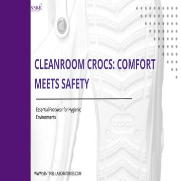 Cleanroom Crocs: Where Comfort Meets Safety | PPTX