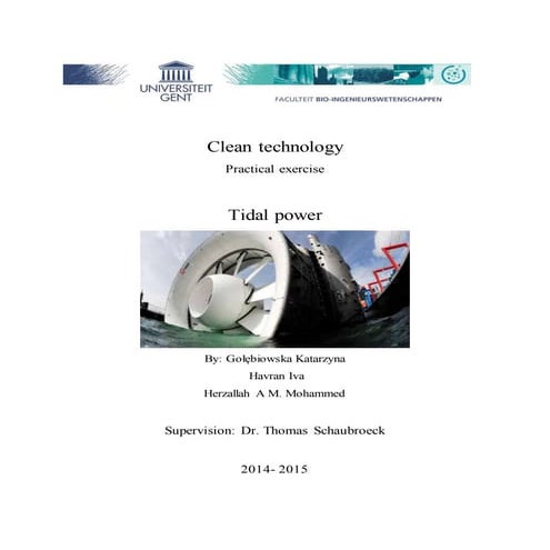 Report Tidal power . 