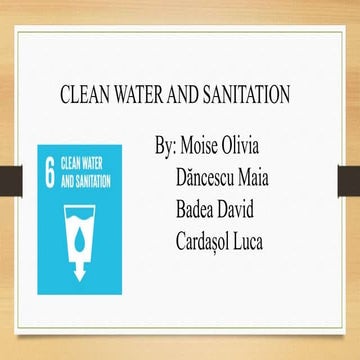 Clean water and sanitation   Moise  Cristiana Olivia - Romanian team