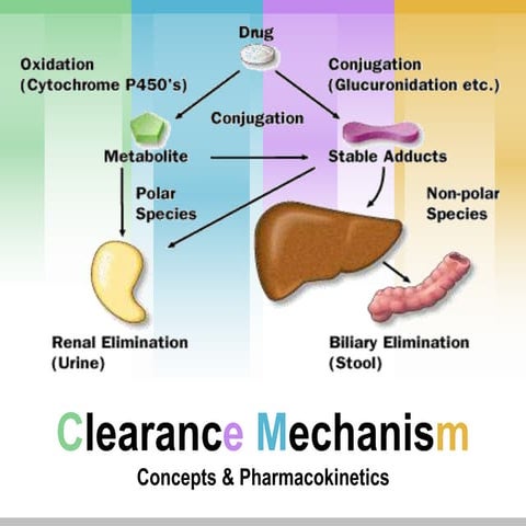 Clearance Mechanism (Biopharmaceutics)