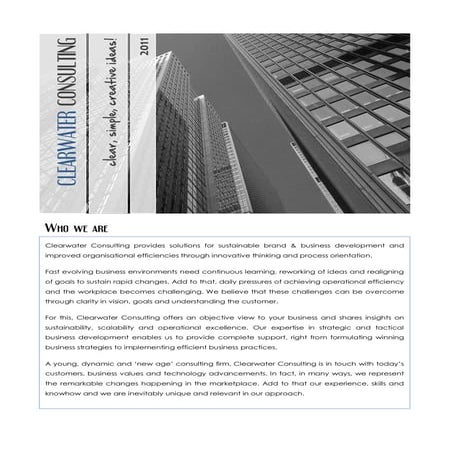 Clearwater Consulting co profile