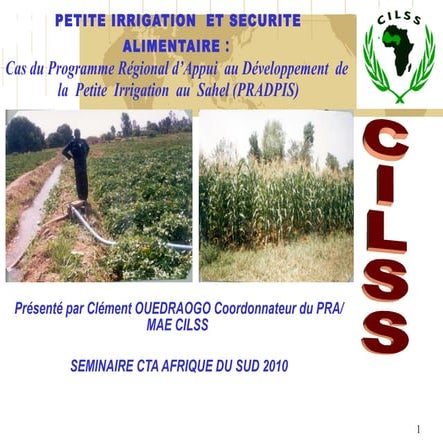 Petite irrigation et sécurité alimentaire: Cas du PRADPIS - Clément Ouédraogo, CILSS, Burkina Faso