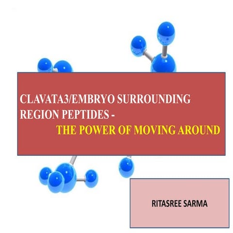 Cle peptides the power of moving around 