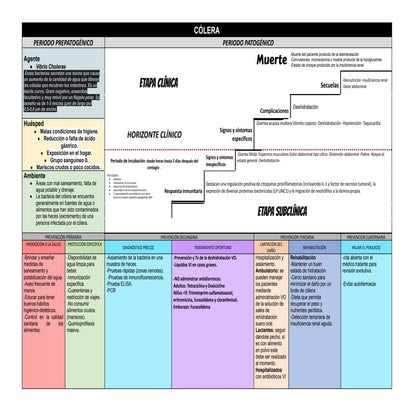 CÓLERA HISTORIA NATURAL DE LA ENFERMEDAD (1).pdf