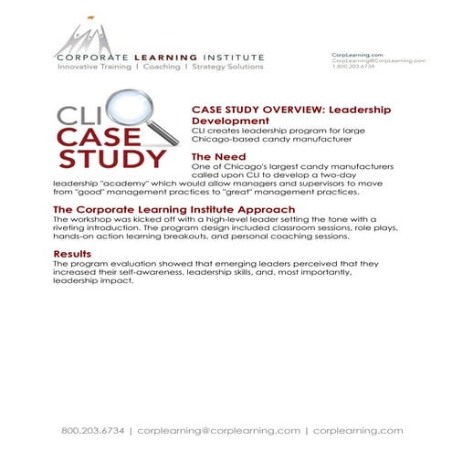 CLI Case Study Leadership Development