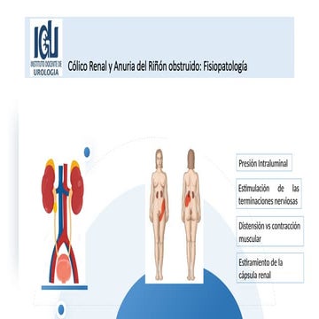 FISIOLOGIA-VESICAL-neurofisiologiaaa.ppt
