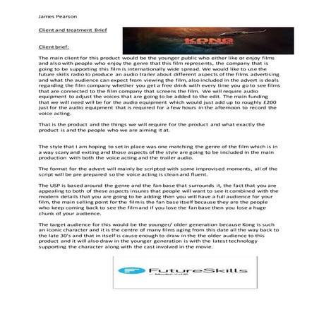 Client and treatment brief