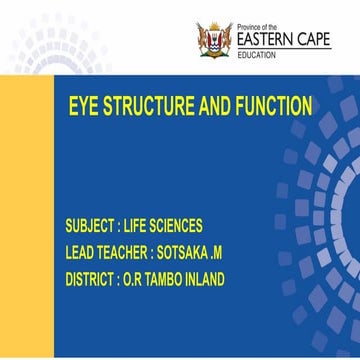 c Life Sc Gr 12 Nervous System Lesson 4 THE Eye Structure and Function ...