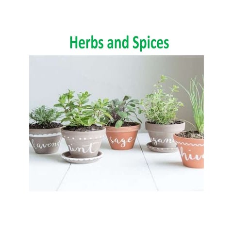 Spices and Herbs Lecture