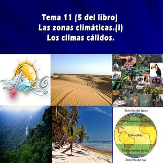  Tema 11 1º ESO ( 5 del libro) Los ...