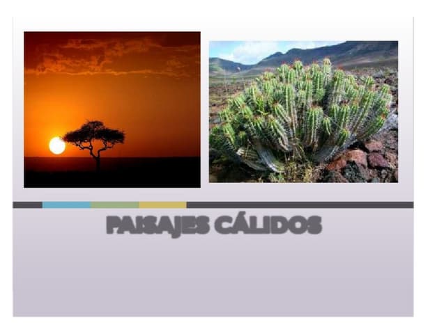 Climas 2 Elaios