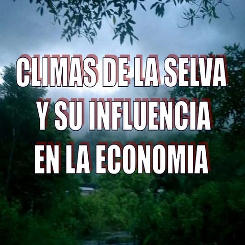 climas de la selva