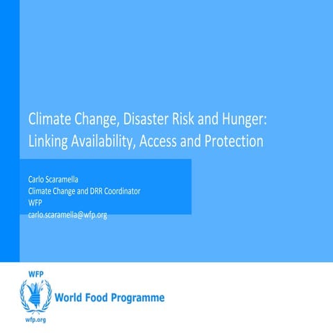 Climate Change, Disaster Risk and Hunger: Linking Availability, Access and Pr...