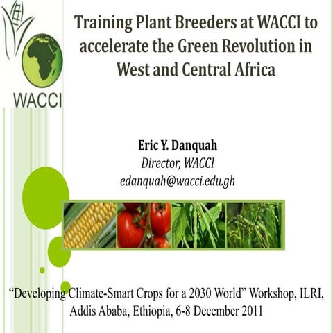 Training plant breeders at WACCI to accelerate the Green Revolution in West a...