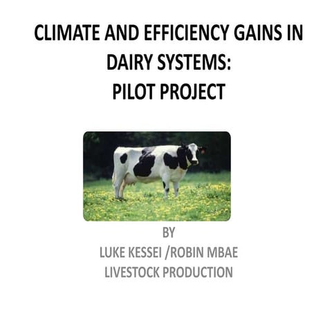 Climate and efficiency gains in dairy systems pilot project