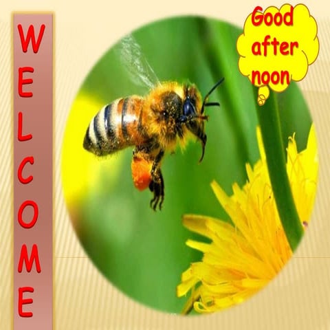 Effect of Climatic Change on Harmful insect pests and Beneficial insects