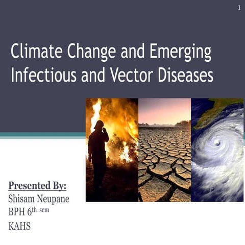Climate change and emerging infectious and vector diseases