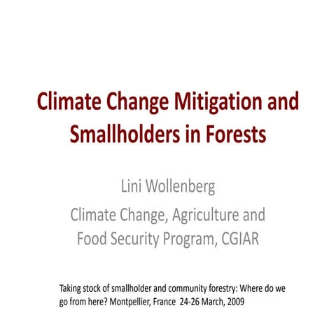 Climate change mitigation and smallholders in forests