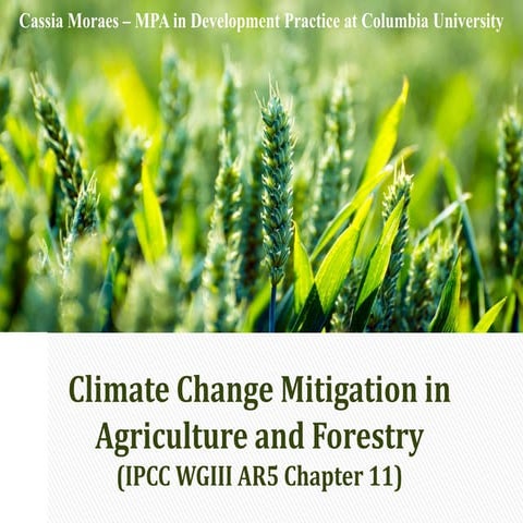 Climate Change Mitigation in Agriculture - Cassia Moraes
