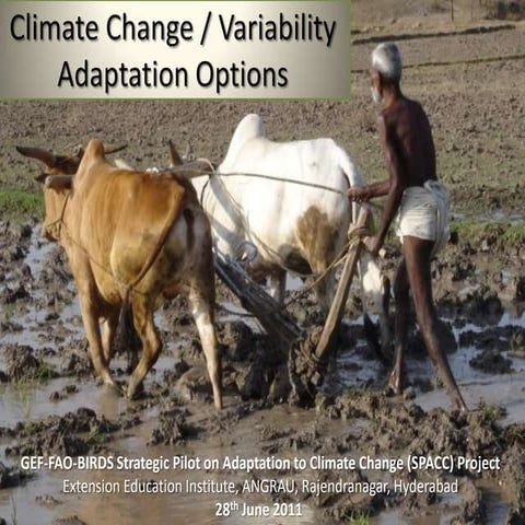 Climate change or variability adaptation options