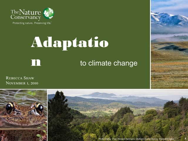 Adaptation to Climate Change by Rebecca Shaw
