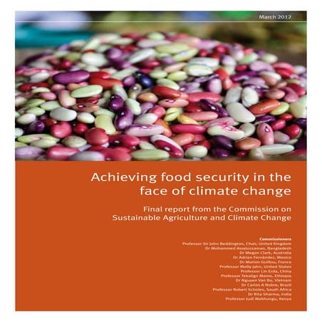 the impact of climate change on global food security | PPTX