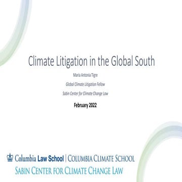 Climate Litigation in the Global South | PPTX