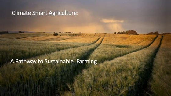 Role of Climate Smart Agriculture(CSA) in addressing challenges of Food ...