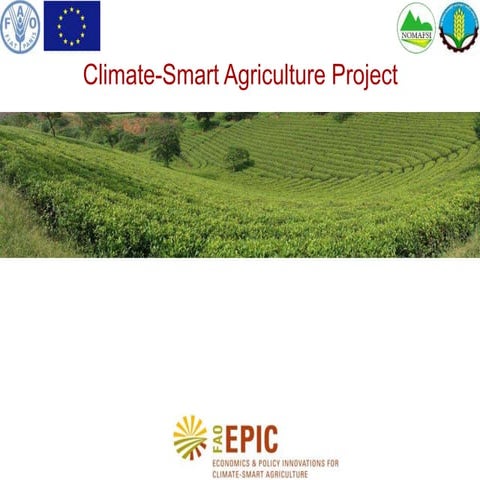 Climate smart agriculture project