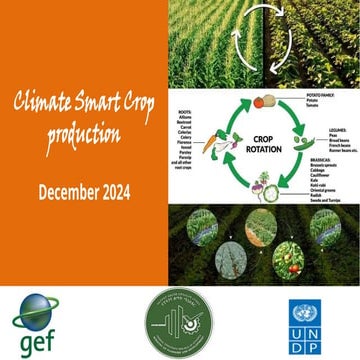 climate smart Agriculture Crop Production.pptx
