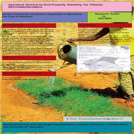 Climate Uncertainty and Dynamic Adjustment in Agriculture: The Case of Cameroon