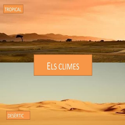Clima tropical i desèrtic 1r ESO D