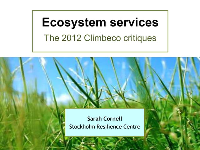 Ecosystem services - the Climbeco critique