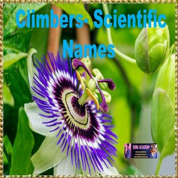 Climbers and their Scientific Names - plants