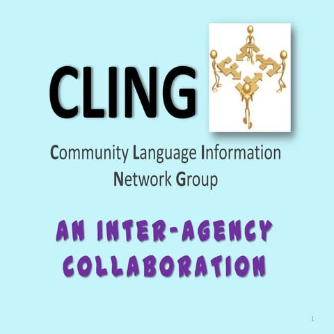 Cling   diversity forum august2012 