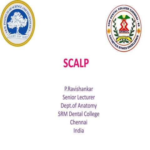 Clinical-Anatomy-SCALP-converted.pdf