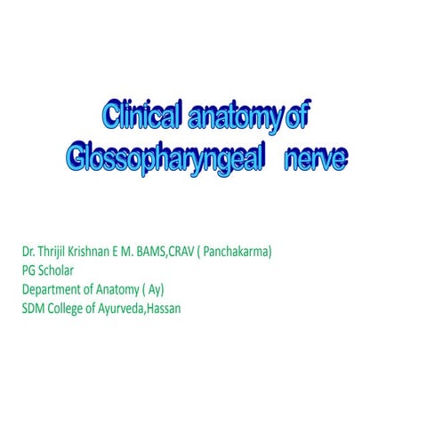Clinical  anatomy  of 9 th cranial nerve