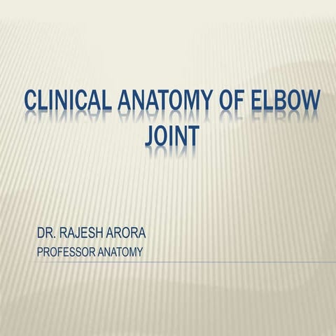 Clinical anatomy of elbow