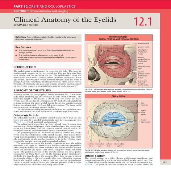 Clinical anatomy of the eyelids